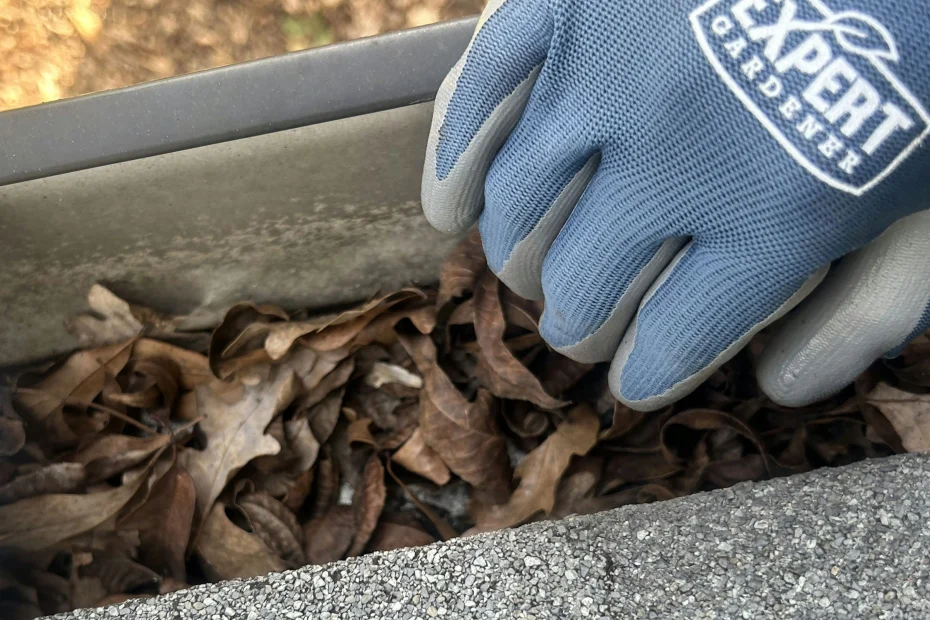 Gutter Cleaning O'Fallon, MO