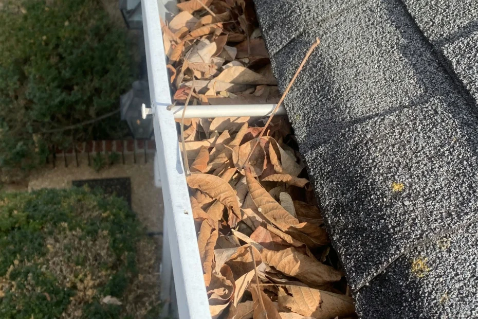 Gutter Cleaning O'Fallon, MO